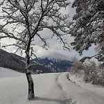 Am Zammerberg Zams