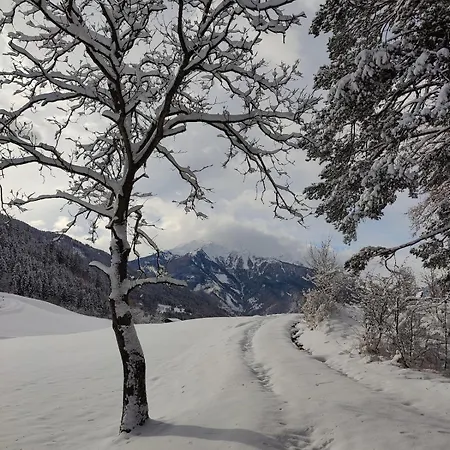 Am Zammerberg Zams